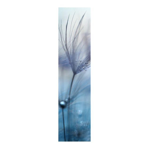 Schuifgordijnen Blue Feathers In The Rain