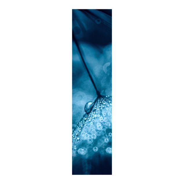 Schuifgordijnen Blue Dandelion In The Rain