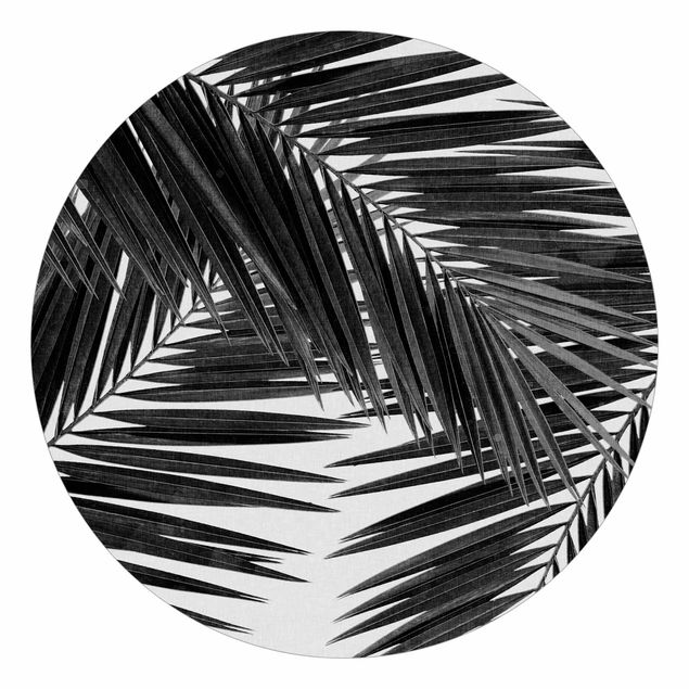 Behangcirkel View Over Palm Leaves Black And White