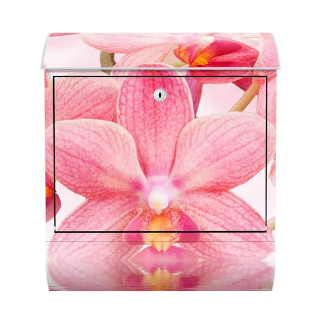 Brievenbussen Light Pink Orchid On Water