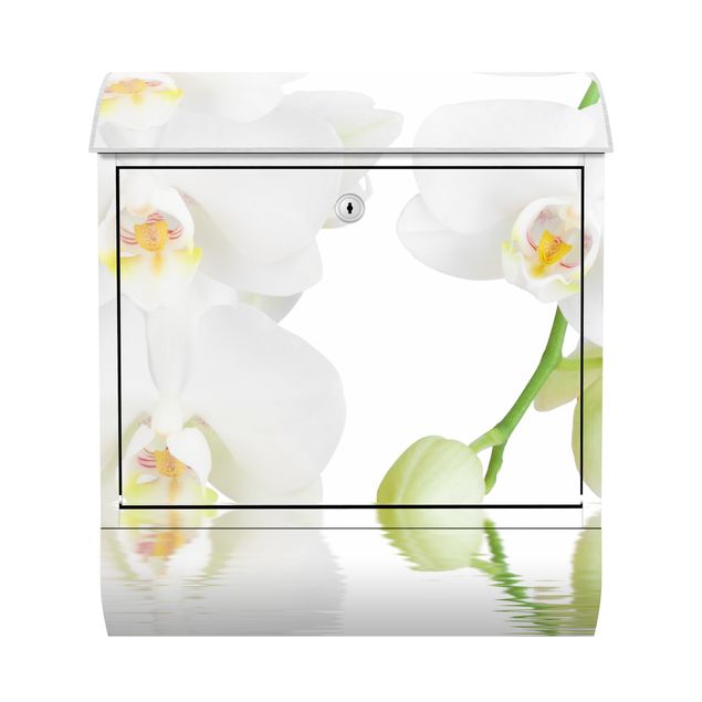 Brievenbussen Spa Orchid - White Orchid
