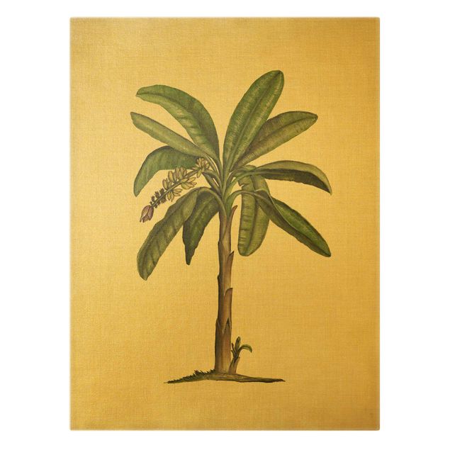 Canvas schilderijen British Palms II