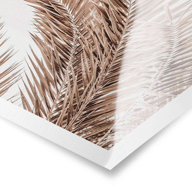 Posters Bronze Coloured Palm Fronds