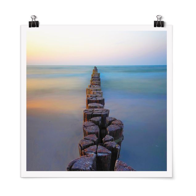 Posters Groynes At Sunset At The Ocean