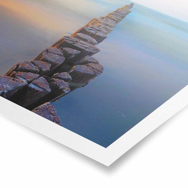 Posters Groynes At Sunset At The Ocean
