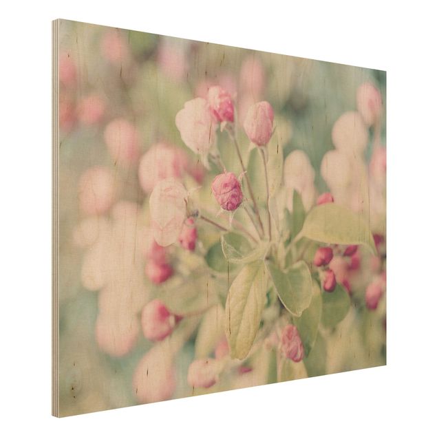 Houten schilderijen Apple Blossom Bokeh Light Pink