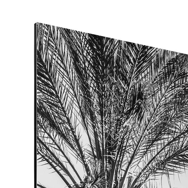 Aluminium Dibond schilderijen Palm Trees At Sunset Black And White