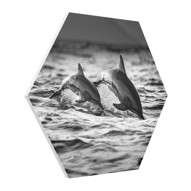 Hexagons Forex schilderijen Two Jumping Dolphins