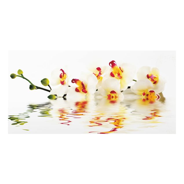 Spatscherm keuken Vivid Orchid Waters