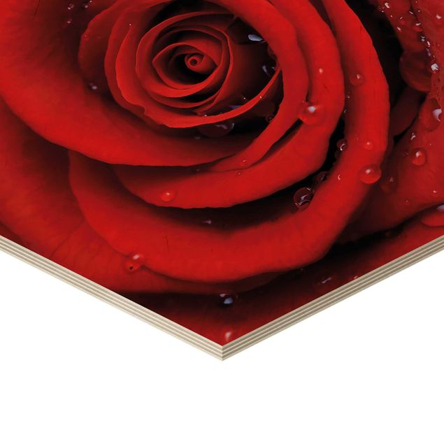 Hexagons houten schilderijen Red Rose With Water Drops