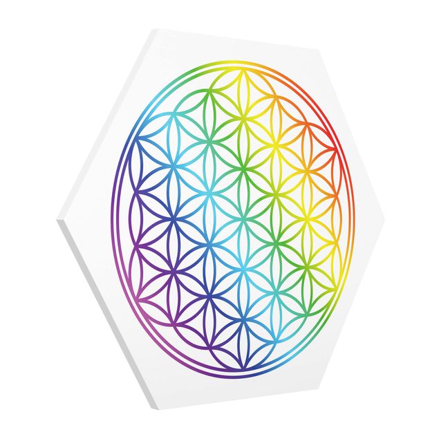 Hexagons Forex schilderijen Flower of Life rainbow color