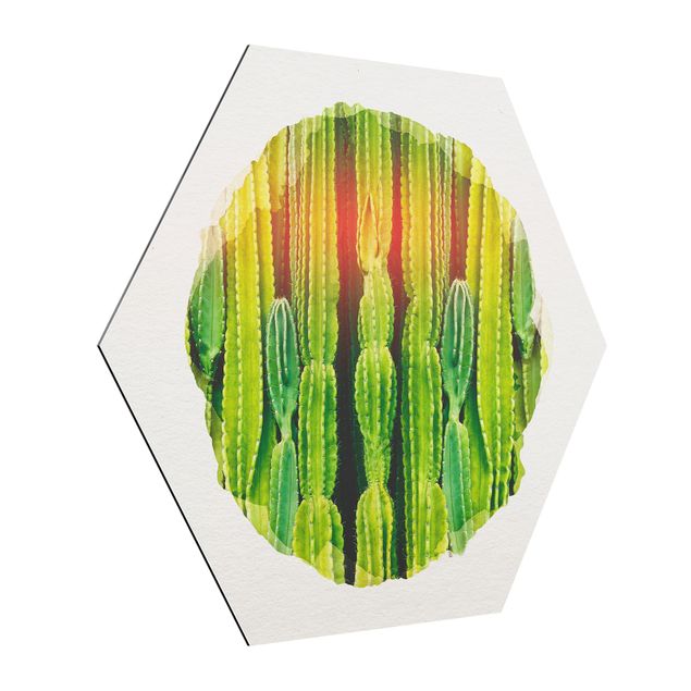 Hexagons Aluminium Dibond schilderijen WaterColours - Cactus Wall