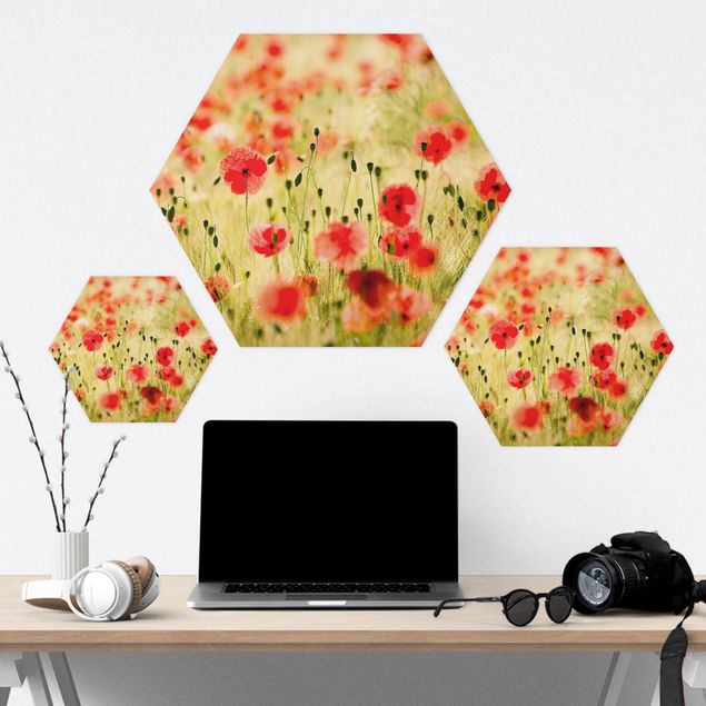 Hexagons Forex schilderijen Summer Poppies