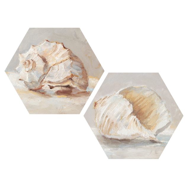 Hexagons Forex schilderijen - 2-delig Shell Study Set III