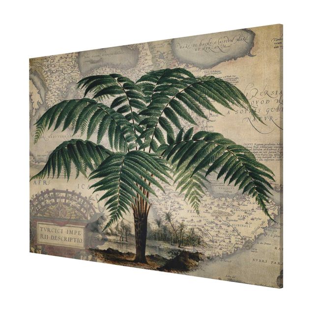 Magneetborden Vintage Collage - Palm And World Map