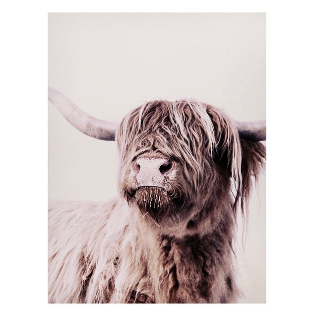 Magneetborden Highland Cattle Frida In Beige