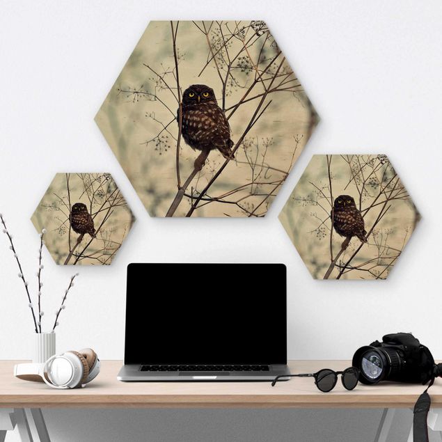 Hexagons houten schilderijen Owl In The Winter