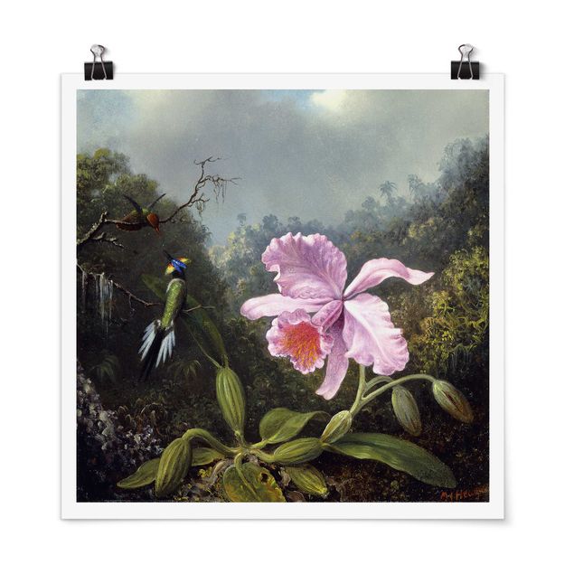 Posters Martin Johnson Heade - Still Life With An Orchid And A Pair Of Hummingbirds