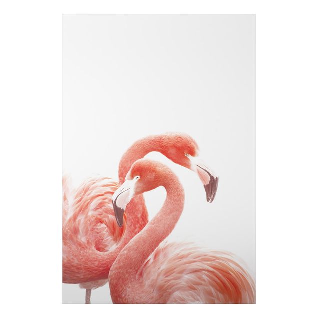 Aluminium Dibond schilderijen Two Flamingos