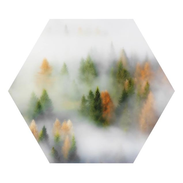 Hexagons Aluminium Dibond schilderijen Cloud Forest In Autumn