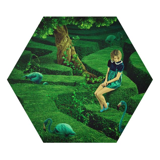 Hexagons Aluminium Dibond schilderijen Woman in the Labyrinth