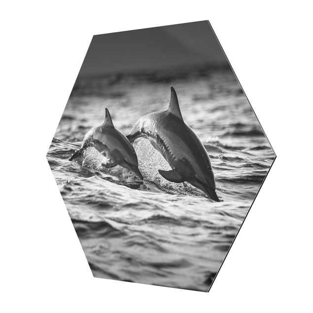 Hexagons Aluminium Dibond schilderijen Two Jumping Dolphins