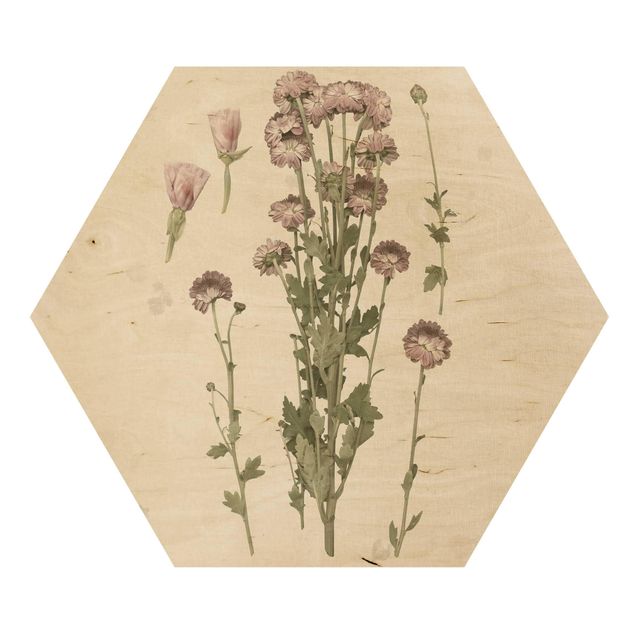 Hexagons houten schilderijen Herbarium In Pink I