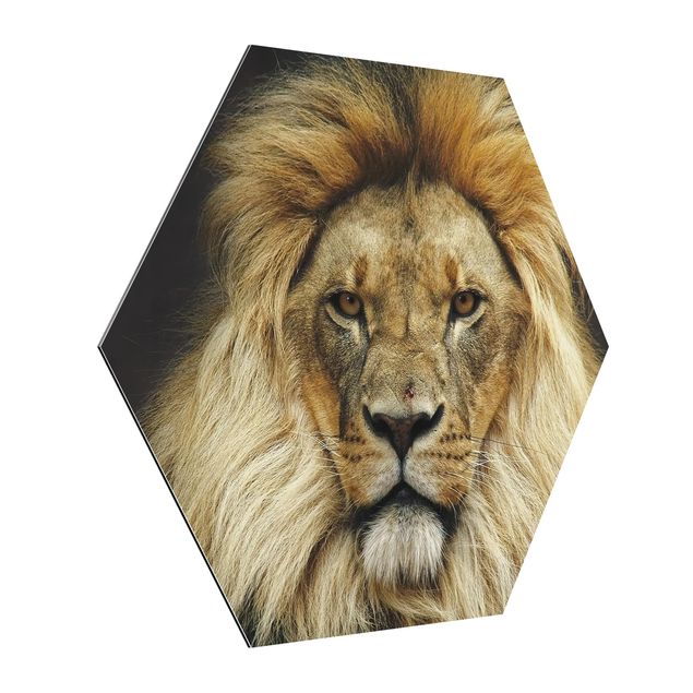 Hexagons Aluminium Dibond schilderijen Wisdom Of Lion