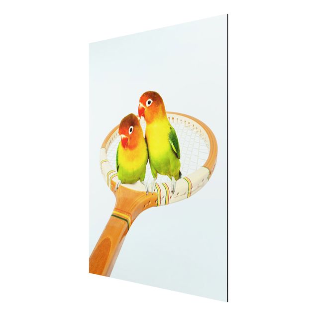 Aluminium Dibond schilderijen Tennis With Birds