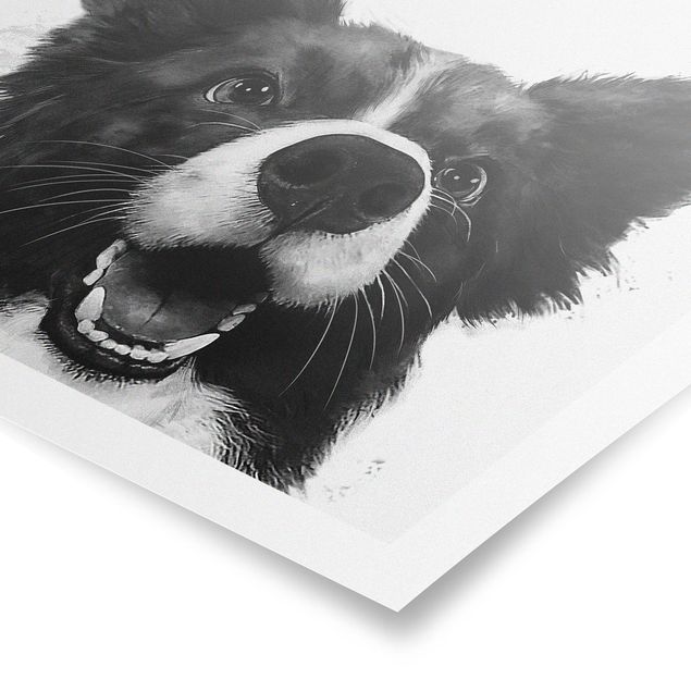 Posters Illustration Dog Border Collie Black And White Painting