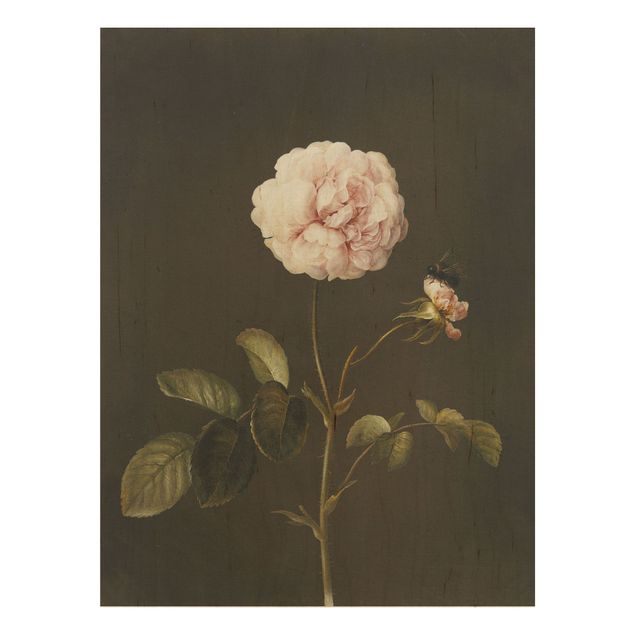 Houten schilderijen Barbara Regina Dietzsch - French Rose With Bumblbee