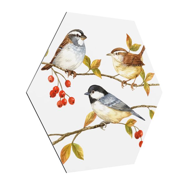 Hexagons Aluminium Dibond schilderijen Birds And Berries - Tits