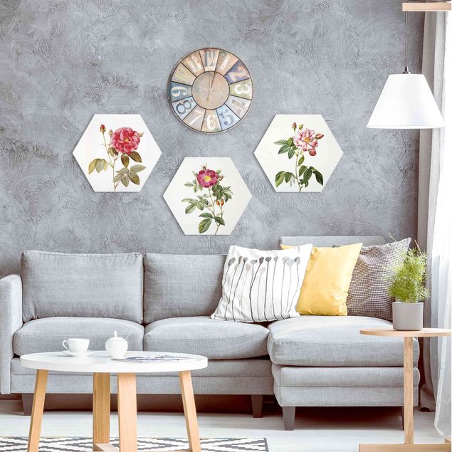 Hexagons Aluminium Dibond schilderijen - 3-delig Pierre Joseph Redouté - Roses