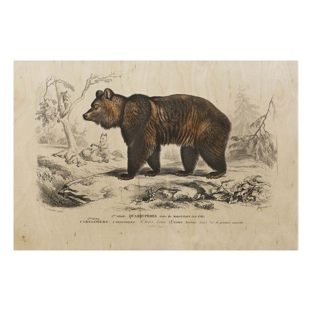 Houten schilderijen Vintage Board Brown Bear