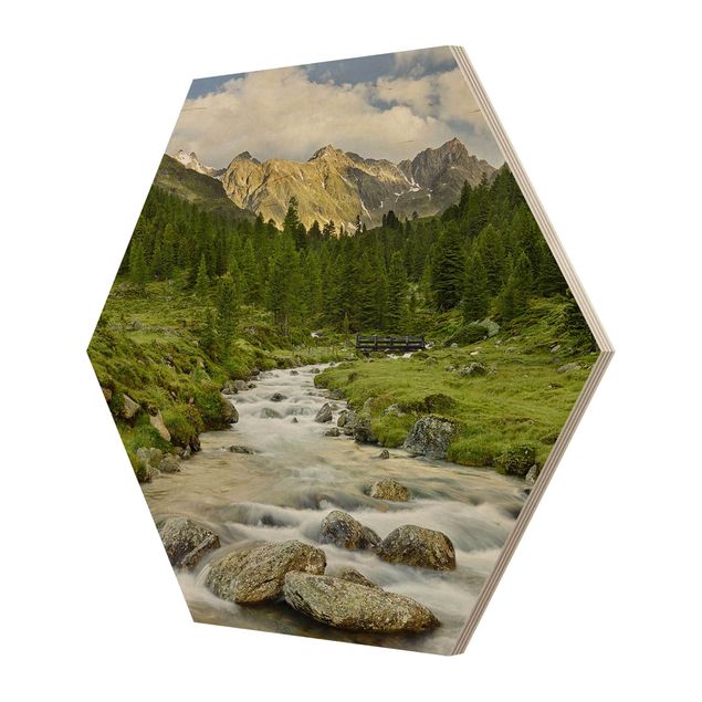 Hexagons houten schilderijen Debanttal Hohe Tauern National Park