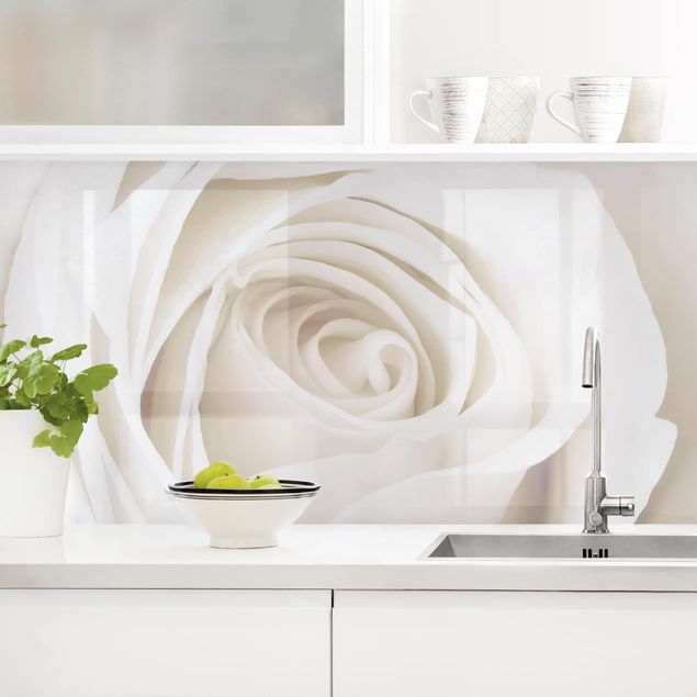 Achterwand voor keuken bloemen Pretty White Rose