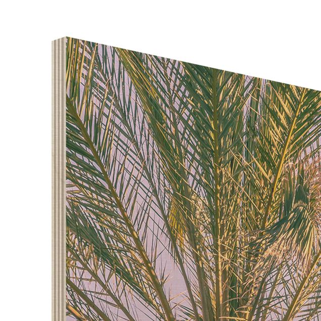 Houten schilderijen Palm Trees At Sunset