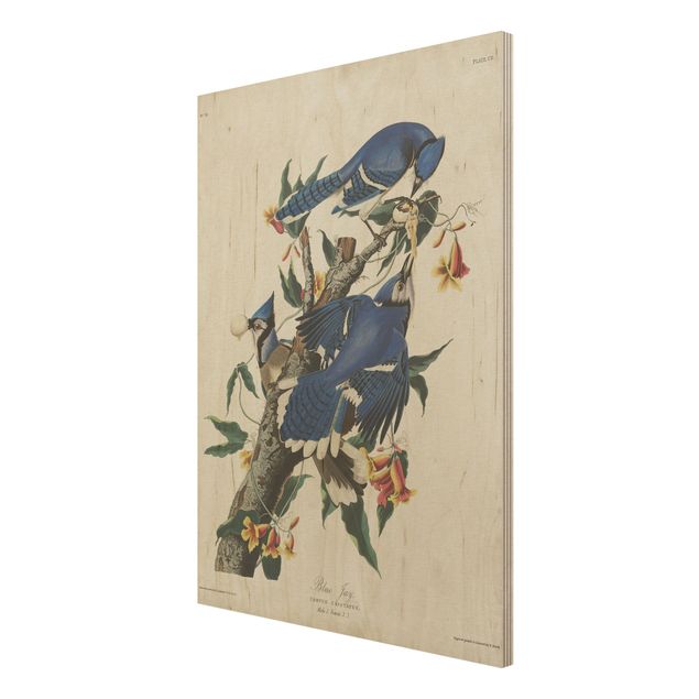 Houten schilderijen Vintage Board Blue Jays