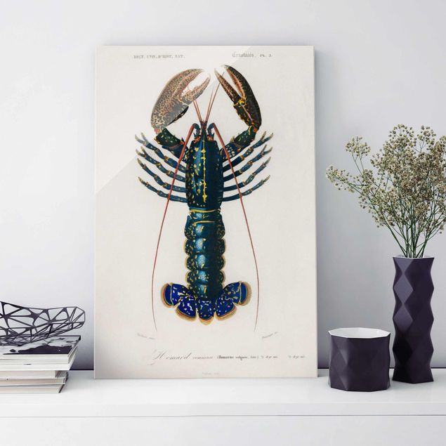Glas Magnetboard Vintage Board Blue Lobster