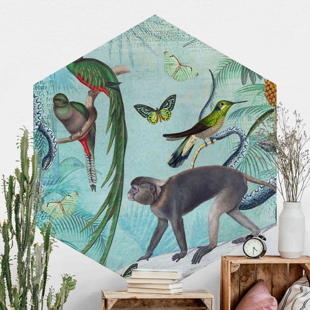 Hexagon Behang Colonial Style Collage - Monkeys And Birds Of Paradise