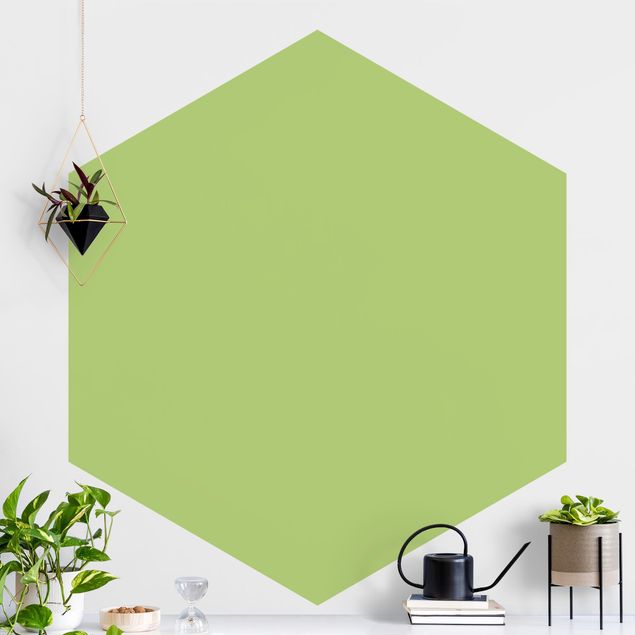 Hexagon Behang Colour Spring Green