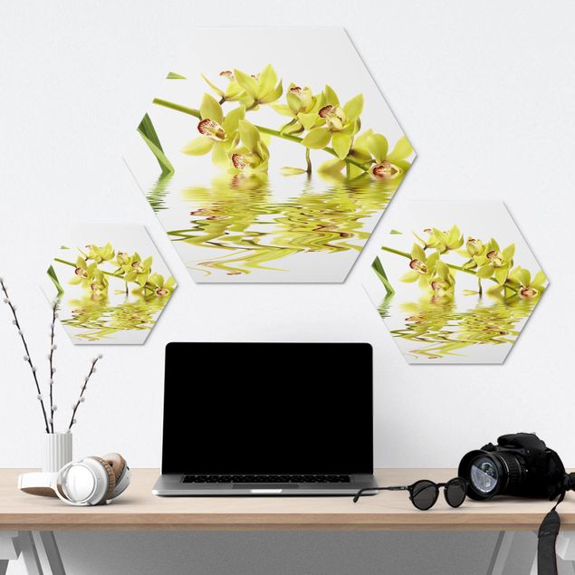 Hexagons Aluminium Dibond schilderijen Elegant Orchid Waters