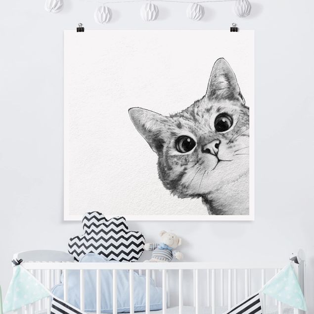 Posters Illustration Cat Drawing Black And White