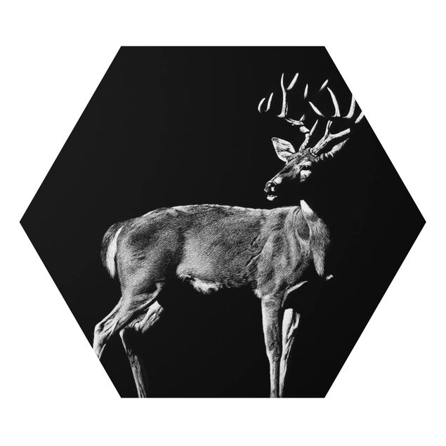 Hexagons Aluminium Dibond schilderijen Deer In The Dark