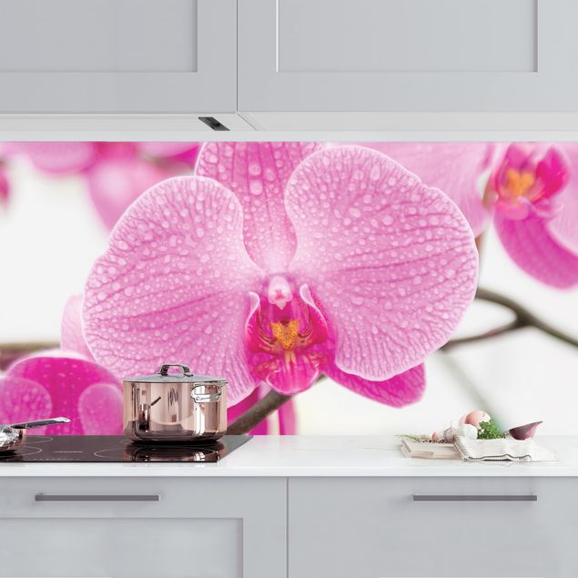 Achterwand voor keuken bloemen Close-Up Orchid