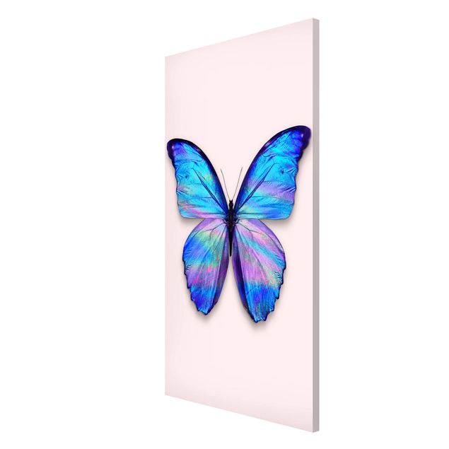 Magneetborden Holographic Butterfly
