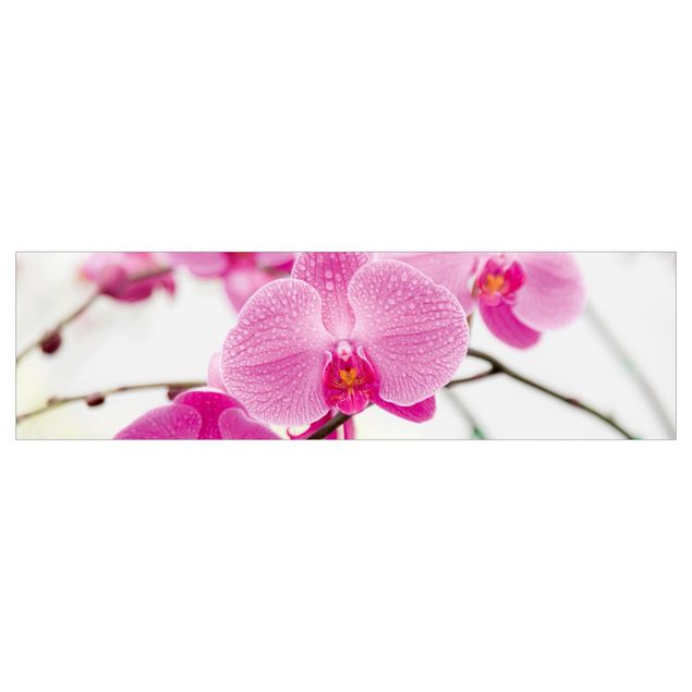 Keukenachterwanden Close-Up Orchid