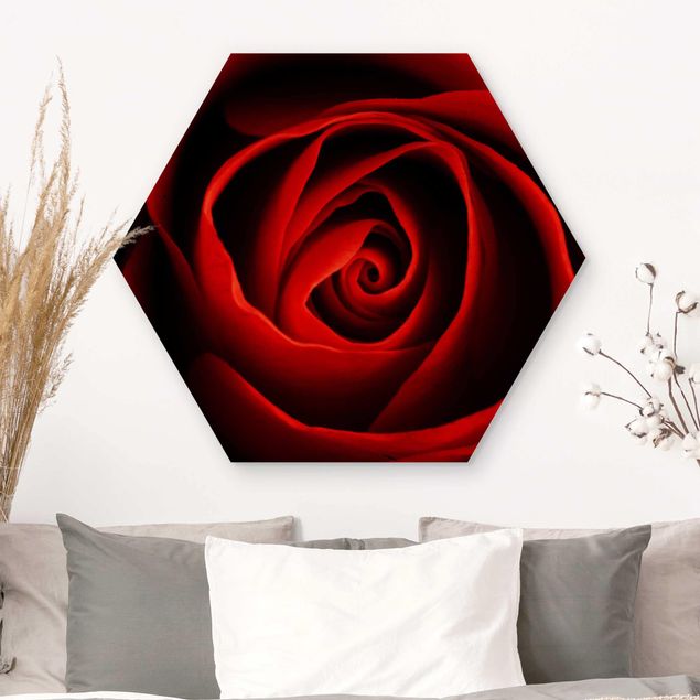 Hexagons houten schilderijen Lovely Rose