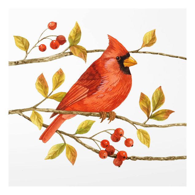 Spatscherm keuken Birds And Berries - Northern Cardinal