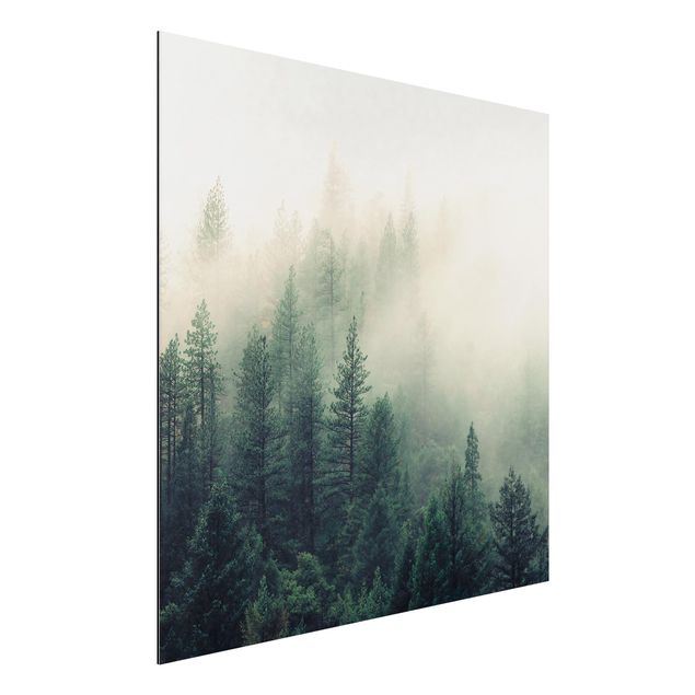 Aluminium Dibond schilderijen Foggy Forest Awakening